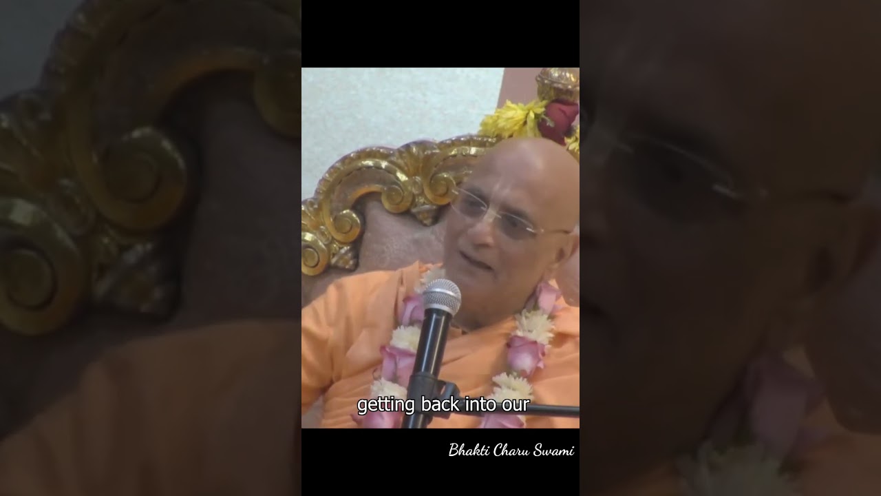 Back to Our Real Being #bcs #bhakticharuswami #krishna #iskcon #purity