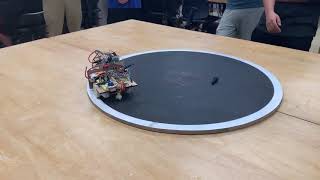 Sumobot 2019 - Match Footage