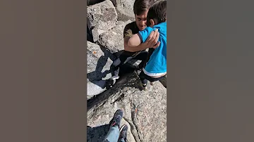 Sumayar Ali Miqdad Northernseries Ytshorts Nature 