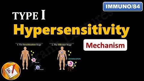 Type I Hypersensitivity Reactions (PART 2) : Mechanism explained! (FL-Immuno/84)