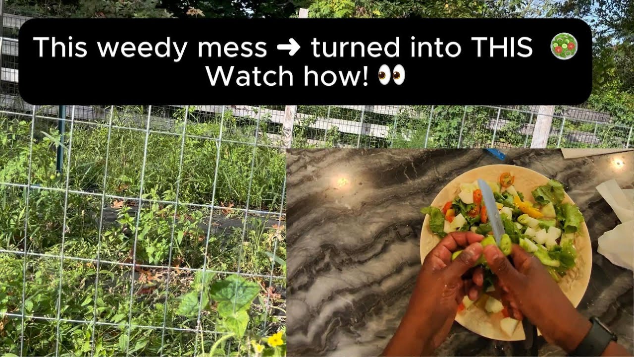 From Weedy Garden to Fresh Salad 🥗 | Real Farm-to-Table Harvest 🌾 | Farm Life Diaries
