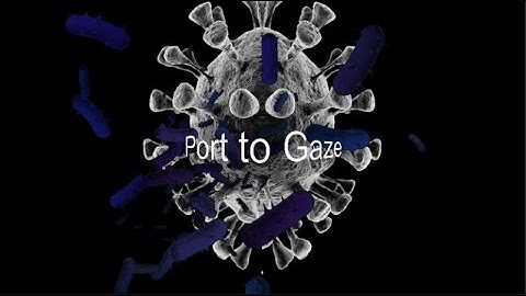 Port to gaze