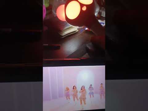 에이핑크(Apink) 덤더럼(Dumhdurum) 응원법 챌린지