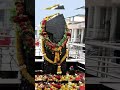 🙏 जय शनि देव | शनि महाराज की कृपा से बदलेगा भाग्य 🌌