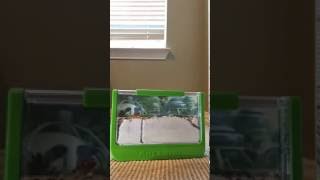 Ant Farm Time Lapse