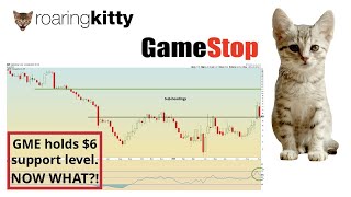 Celebrity GameStop HOLDS $6 support level! With the bull thesis still intact, what's next for GME stock? Profile