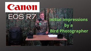 Canon R7 Initial Impressions by a Bird Photographer