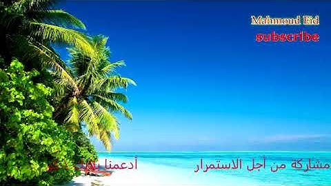 أجمل صوت في تلاوة القران الكريم - اسمتعتع بتلاوة رائعة تفوق الخيال