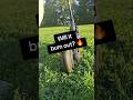 Scooter Burnout Test on Grass 🌱🔥 #electricscooter #ninebot #segway #burnout