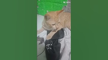 Ngày 08 tháng 02 năm 2023