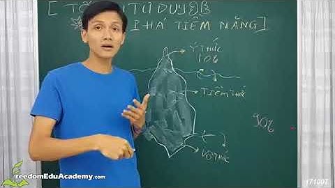 Ý Thức - Tiềm Thức - Vô Thức