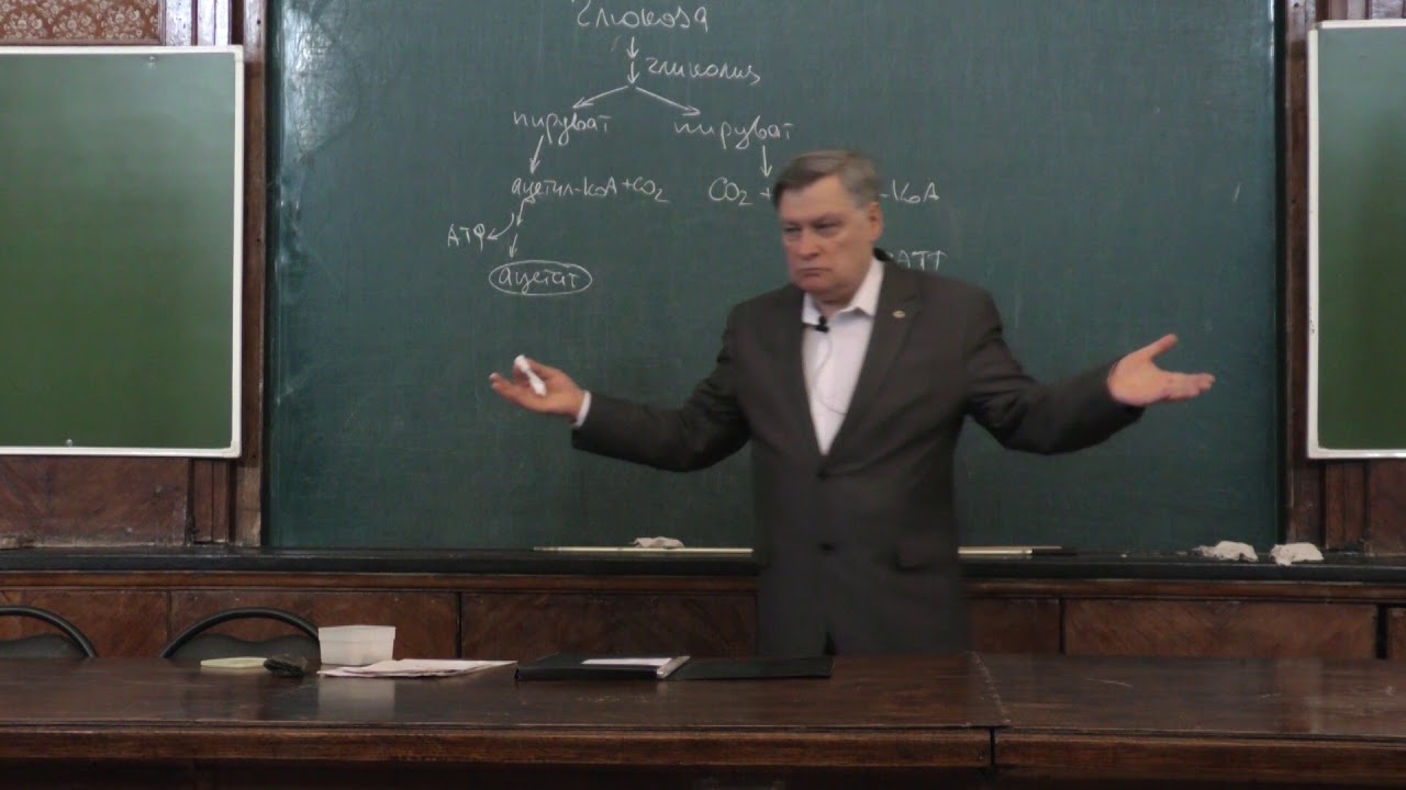 Нетрусов А. И. - Микробиология I - 8. Анаэробное дыхание