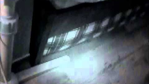 Quantum Echo - Life (MV)