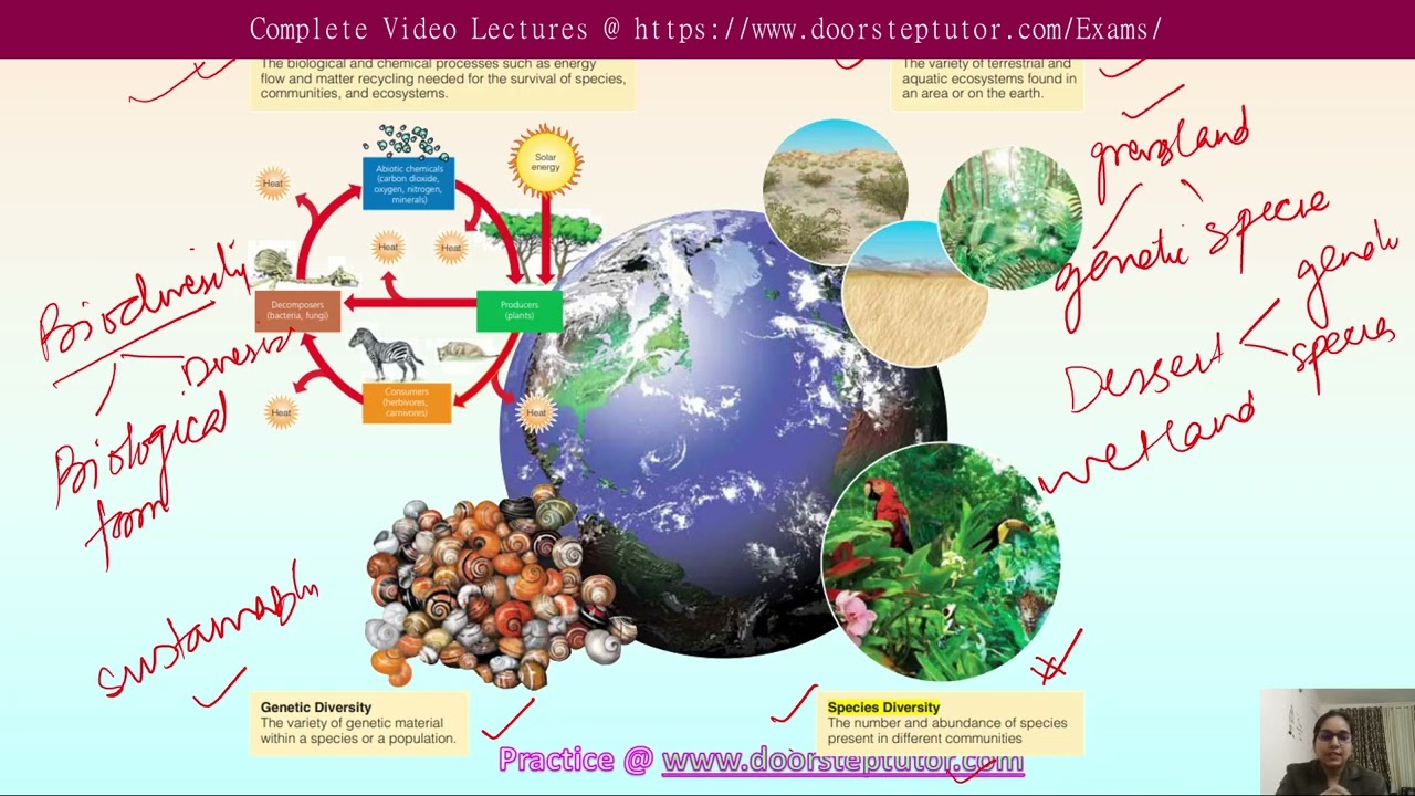 Species Diversity Examples Biology