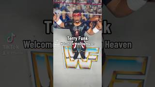Famous RIP Terry Funk Wealth