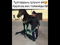 Қарасаң көз тоймайтын тұлпар😍