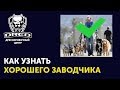 Как отличить хорошего заводчика собак | На что обратить внимание при выборе щенка