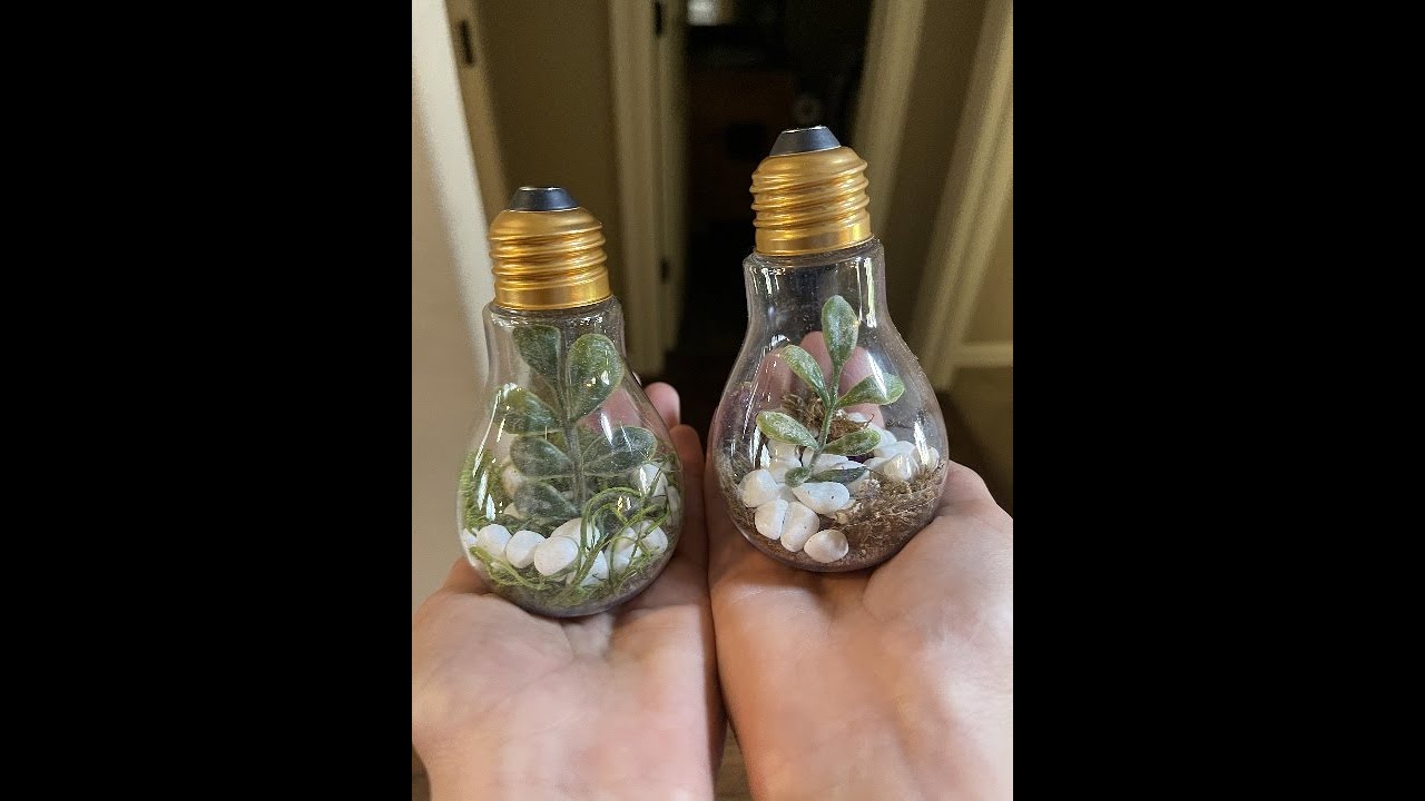 Creative Hobbies 24 Pack Clear Fillable Plastic Light Bulbs, Great for Candy, Wedding Party F Review