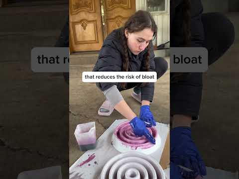 Most Slow Feeders Look Cute But Don T Actually Last So We Built One That Finally Does