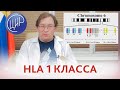 Главный комплекс гистосовместимости и HLA 1 класса. Ген B27 и риск невынашивания. Гузов И.И.