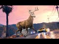 GTA 5 – Wildlife Photography Challenge (GTA V Nature Exploration)
