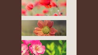Modish Backdrops for Yoga Nidra