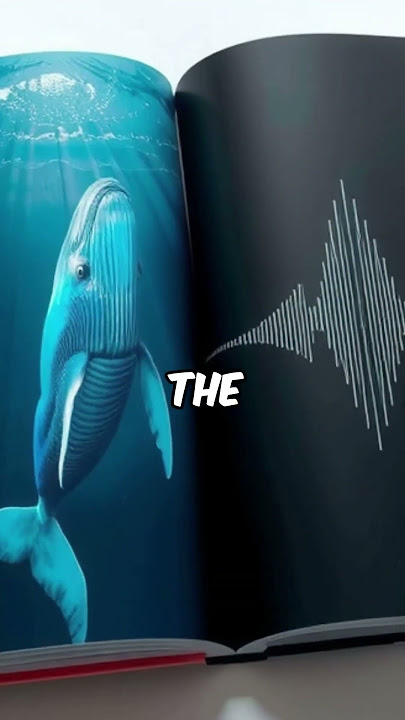 The Heartbeat of a Blue Whale: Nature's Deepest Echoes 🌊🐋
