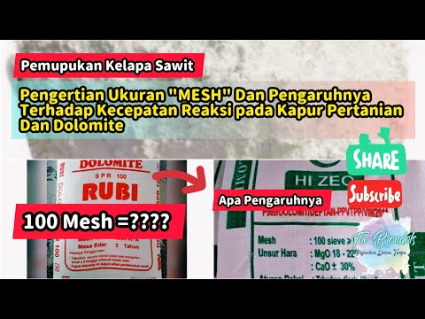 Video: Jurulatih profesion: kebaikan dan keburukan