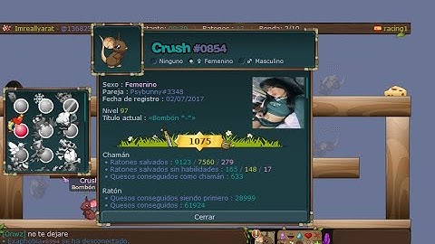 TRANSFORMICE -  Room 29.000K Firsts