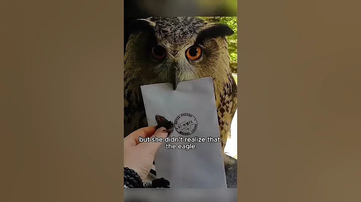 Eagle owls delivering letters. #shortvideo #animals #animal #cute #eagle - DayDayNews