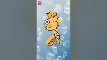 KHÁM PHÁ SINH VẬT BIỂN  #rubytv #behocnoi