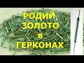 Золото и Родий в Герконах (герконовых реле) есть! По пути к Золоту и Родий можно достать.