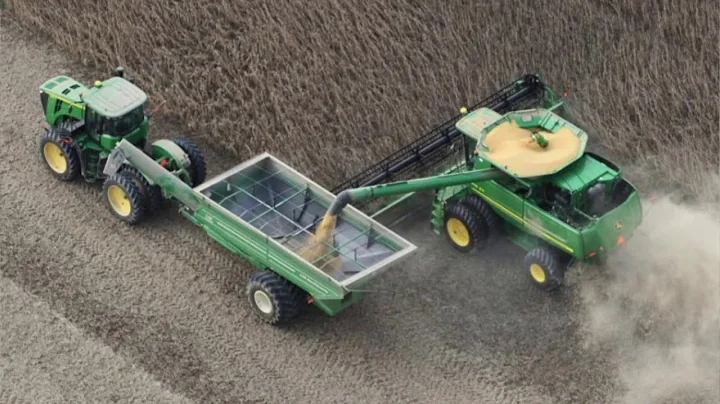Wheat School - Creating yield potential with Phil ...
