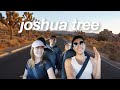 Driving in Joshua Tree | The Saddest Camping Trip