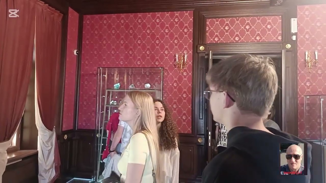 Deaf.Экскурсию Несвижский замок. ЖЯ