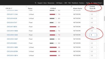 Vigiles User Guide: Assigning Custom Scores to CVEs