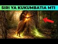 SIRI ILIYOFICHWA KATIKA KUKUMBATIA MTI 