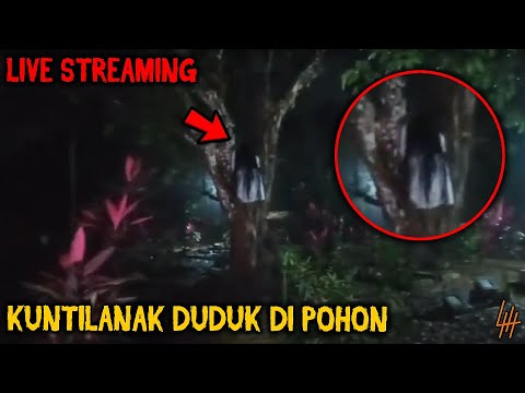 Video: Hantu Elvis Yang Duduk Di Atas Bumbung Di Sebelah Cerobong Itu Difoto Oleh Datuk Dundee. - Pandangan Alternatif