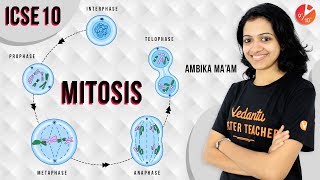 MITOSIS | Cell Cycle, Cell Division and Structure of Chromosomes | ICSE Biology | Vedantu Class 10