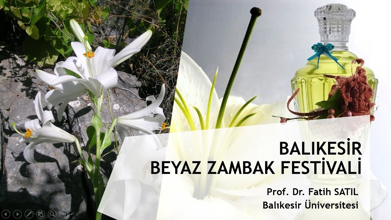 Balıkesir Beyaz Zambak Festivali