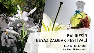 Balıkesir Beyaz Zambak Festivali
