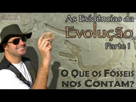 Vídeo: Qual é a evidência fóssil da evolução?