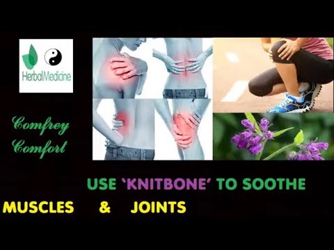 Quickly relieve muscle and joint pain with Comfrey Comfort