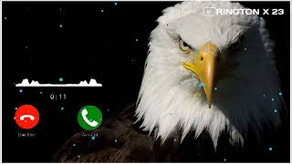 eagle ringtone / rington / rington x 23 screenshot 3