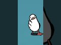 Duck trend