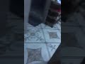 شجار يتير الرعب في سكان حي مغوغة شجار يتير الرعب في سكان حي مغوغة