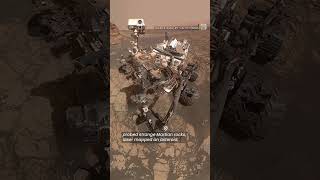 Canada has plenty to celebrate on National Space Day | #shorts
