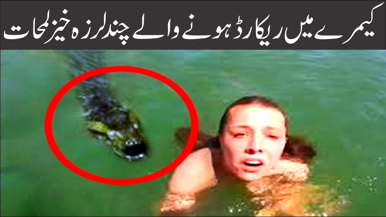 Real Life Things Caught on Camera | Asif Ali TV