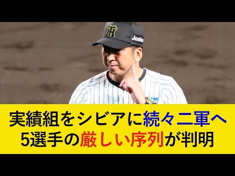 【シビアに続々決断】「力のないベテランはいらない。」を体現し、中堅・ベテランを続々二軍へ。5選手の厳しい序列が判明...【阪神タイガース】