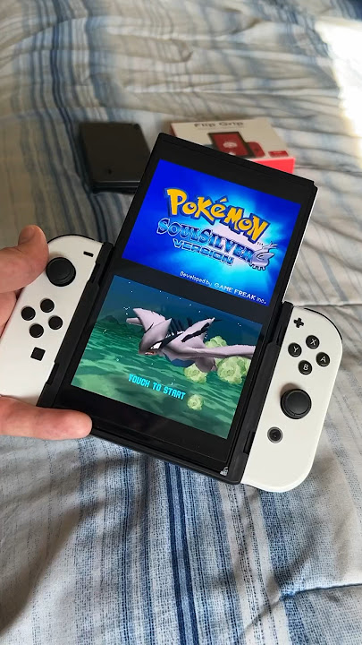 The BEST Way To Play DS Games! 🔥